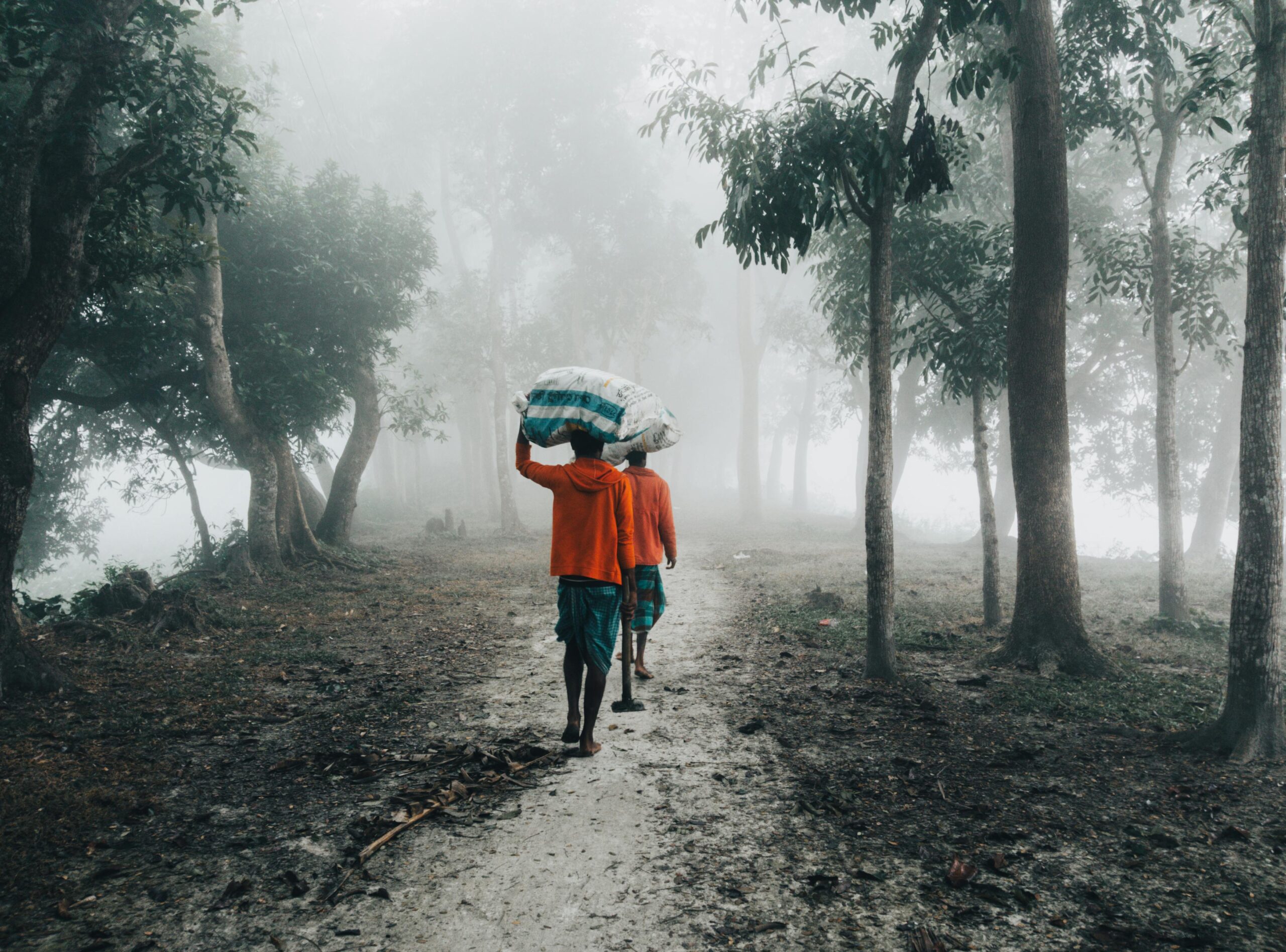 Mist Weather Condition Fog, Mist, Haze, and Smog: Differences & Health Effects - Mindful Tomorrow