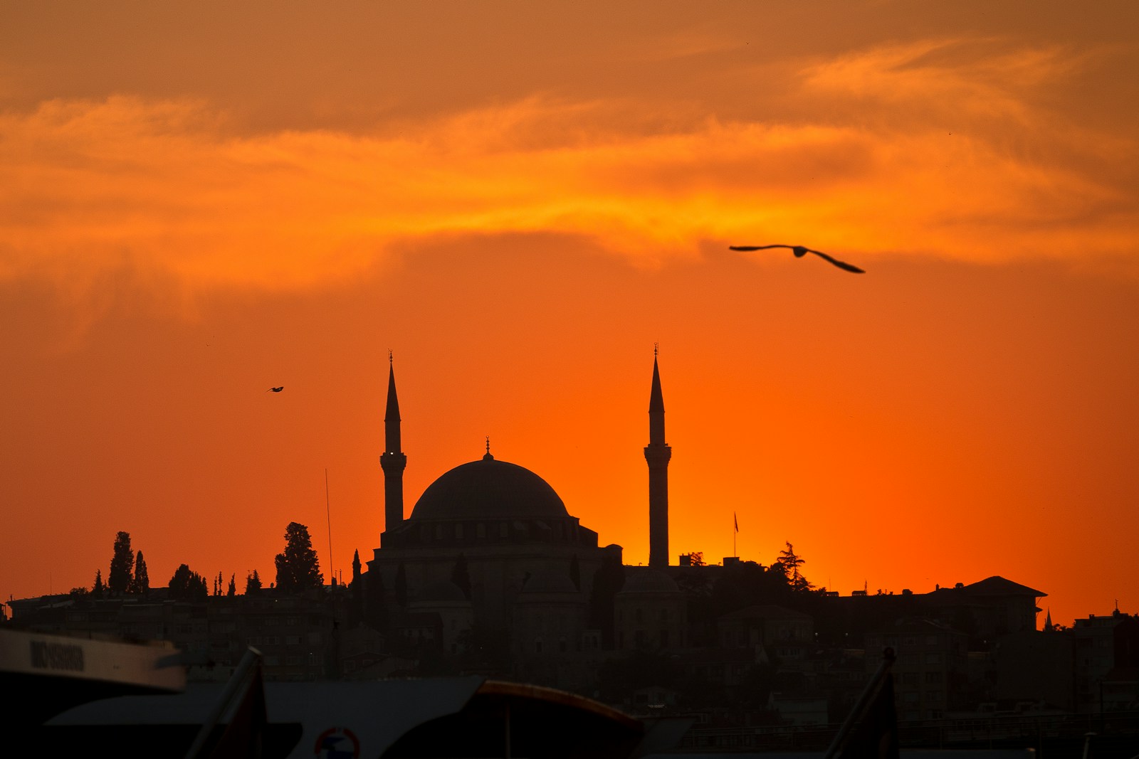 The History of Ramadan: A Journey Through Faith, Time, and Tradition