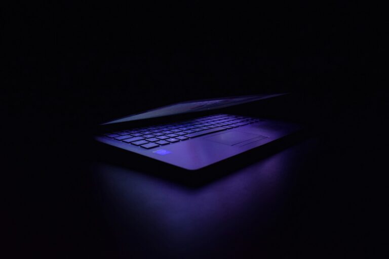 What Happened to the Founder of Torrents? The Story of BitTorrent Creator Bram Cohen