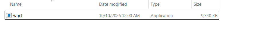 Rename the downloaded wgcf executable