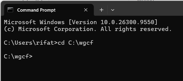 Navigate to the wgcf folder using the cd command