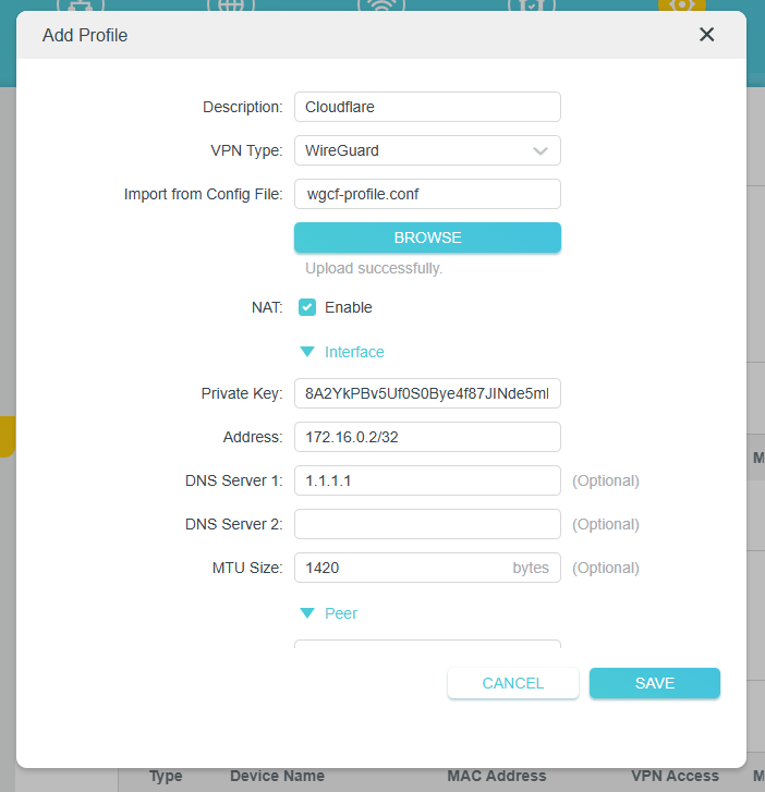 Find the IPv4 address in the WireGuard profile