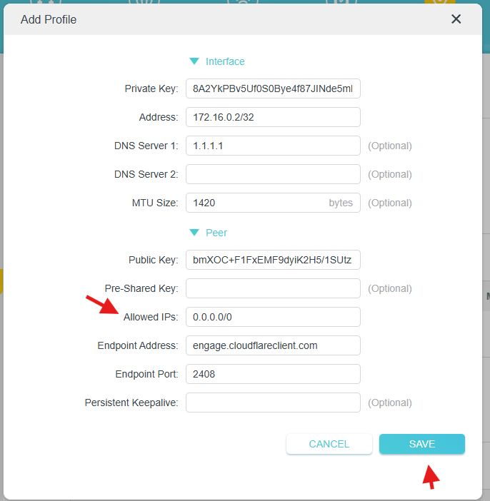 Find the AllowedIPs value in the WireGuard configuration