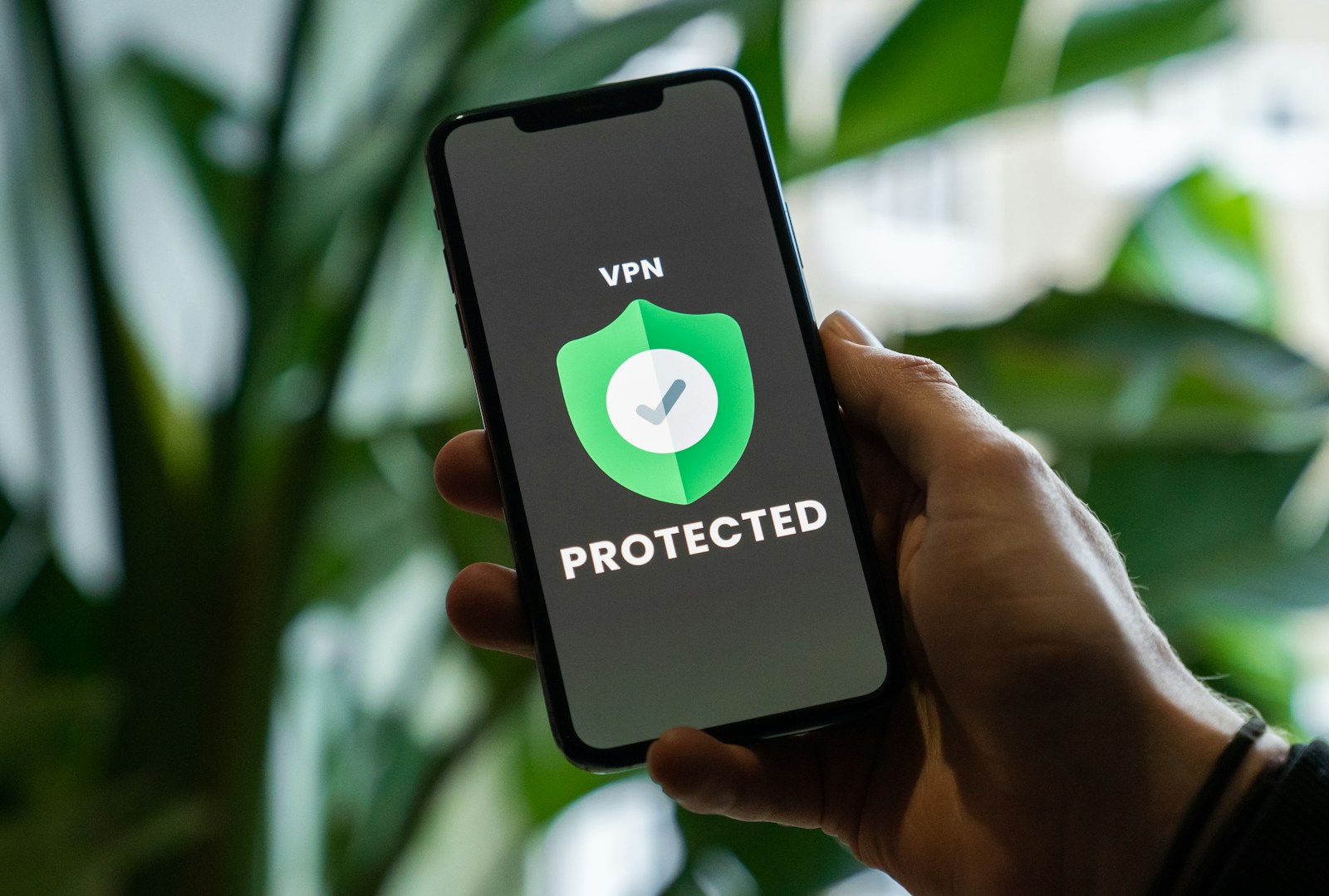 Is qBittorrent Safe? Everything You Need to Know