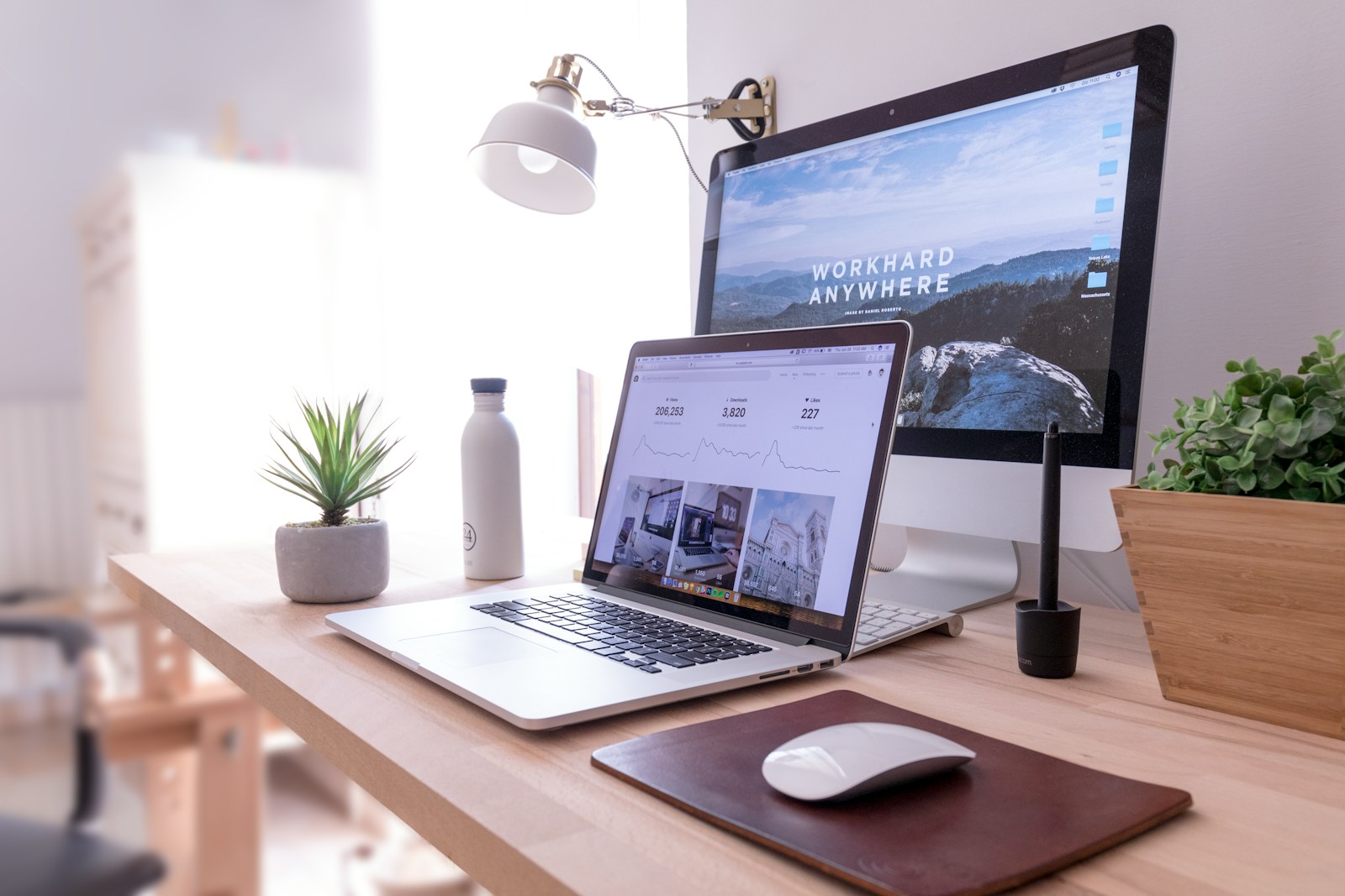 Best Torrent Websites for Public Domain Books
